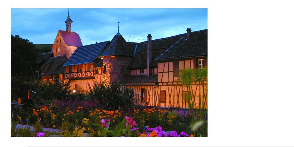 Chambres D'Hotes Du Vignoble Riquewihr Exterior photo